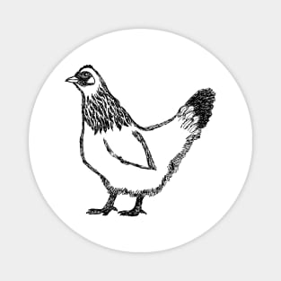 Chicken Hen Hand Drawn Magnet